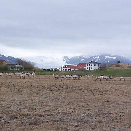 Guesthouse Hólmur Eksteriør billede