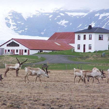 Guesthouse Hólmur Eksteriør billede