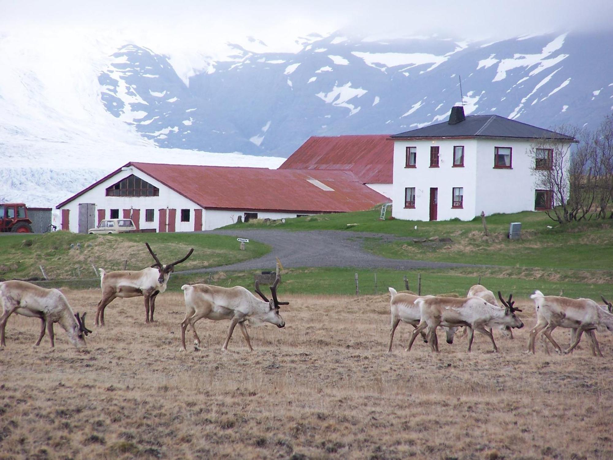 Guesthouse Hólmur Eksteriør billede