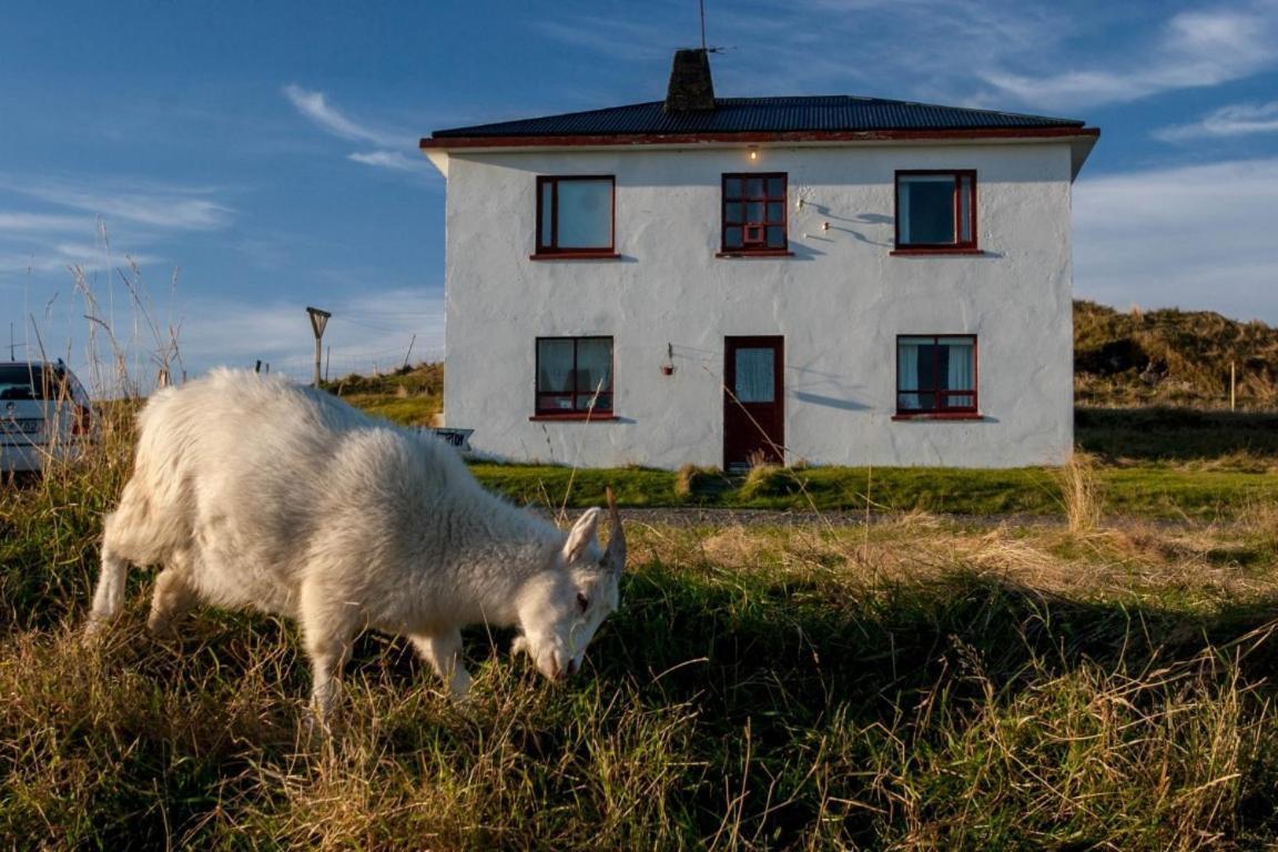 Guesthouse Hólmur Eksteriør billede